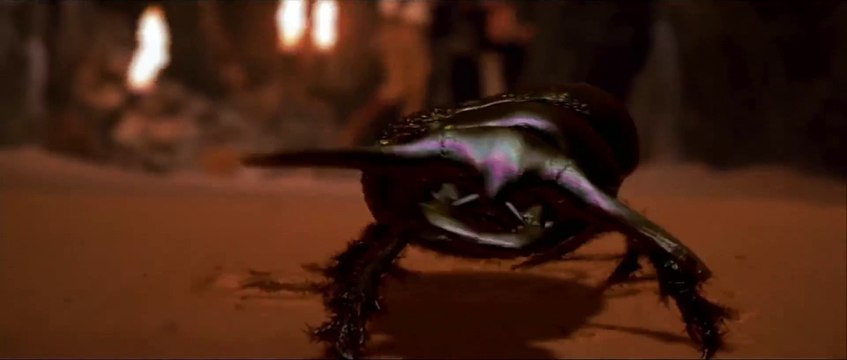 와와카지노주소∰♞ DIO36。COM ♞∰와와카지노주소