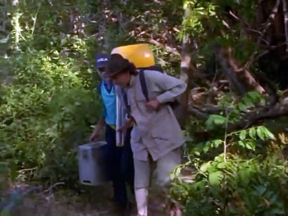 Ocean Girl [Deutsch]   S4E14   Der Schlangenbiss