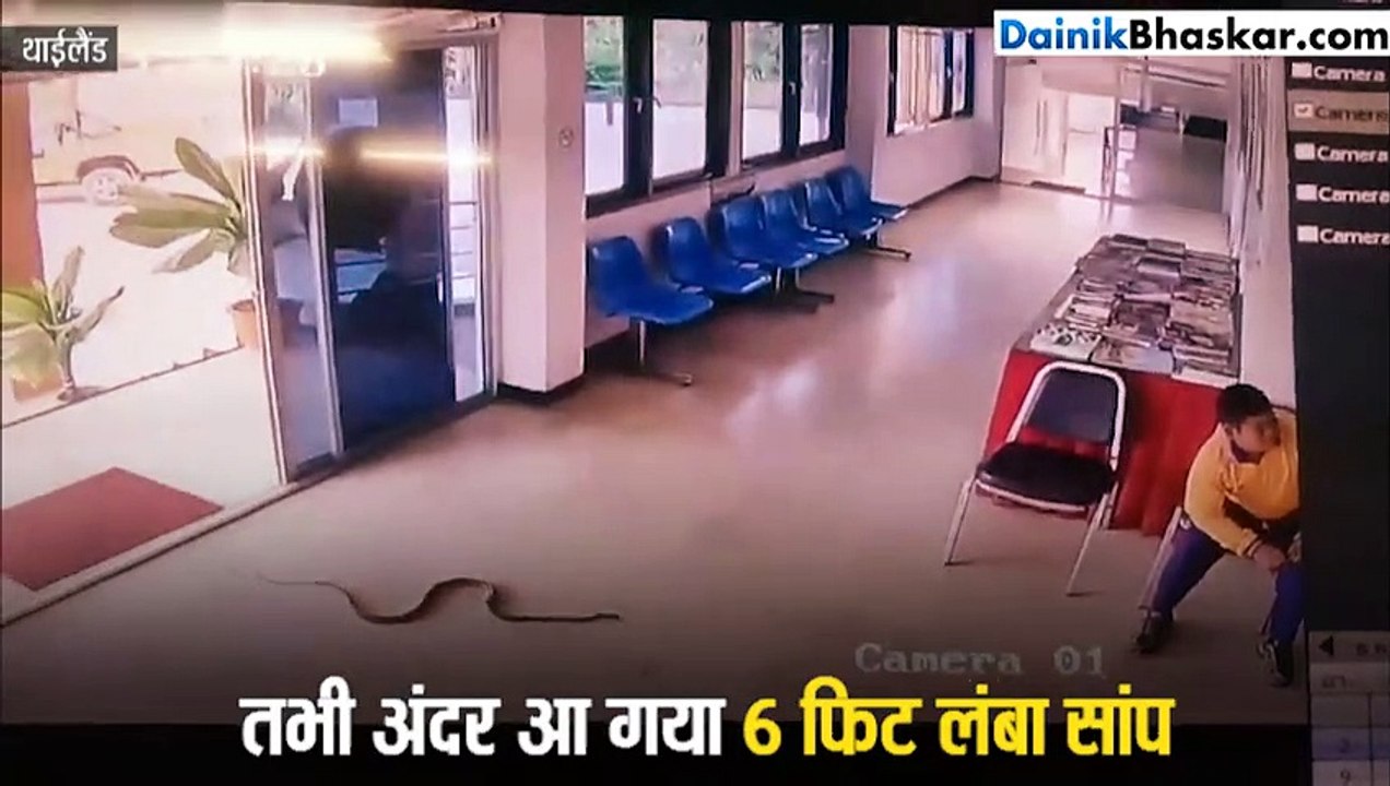 आपके रौंगटे खड़े कर सकता है 1 मिनट का ये वीडियो