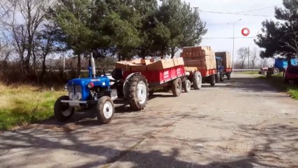 Bafra’da tütün alımları başladı