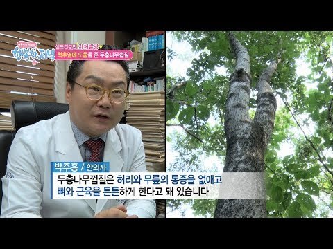 나무껍질이 척추염에 도움이 된다?! [행복한 저녁] 38회 20170608