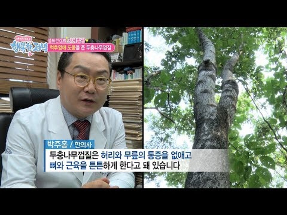 나무껍질이 척추염에 도움이 된다?! [행복한 저녁] 38회 20170608