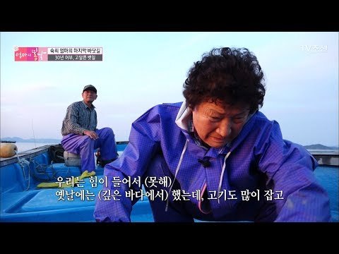 평생을 바다에서 보낸 엄마, 이젠 마지막? [엄마의 봄날] 93회 20170618