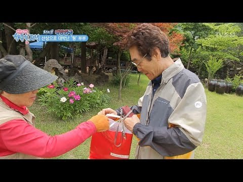 아내에게 모자를 직접 사 선물하는 남편! 달달~ [행복한 저녁] 36회 20170606