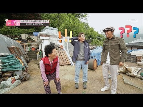 집에서 애완(?)벌을 키우는 엄마! [엄마의 봄날] 92회 20170611