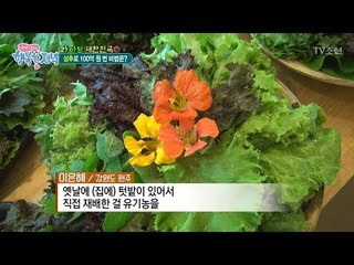 연 매출 100억! 풀 밖에 없는 상추 맛집?! [행복한 저녁] 40회 20170612
