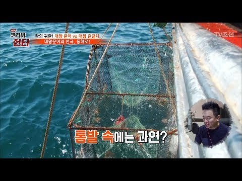 OOO미끼로 문어를 잡는 헌터들! [뉴 코리아 헌터] 54회 20170612