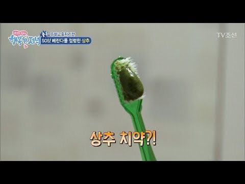 이가 하얘진다! 상추치약 만들기 [행복한 저녁] 47회 20170621