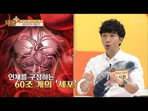 콜라겐의 재발견! 건강의 필수다? [내 몸 플러스] 62회 20170611