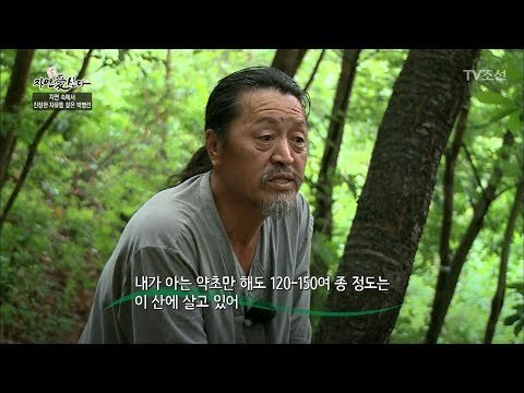 약초 박사 자연인! 모르는 것이 없다! [자연愛산다] 10회 20170620