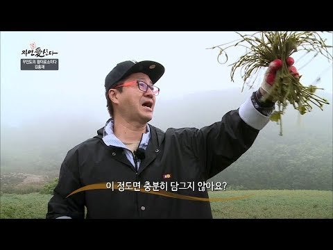 무인도에 널리고 널린 칡 순! [자연愛산다] 11회 20170627