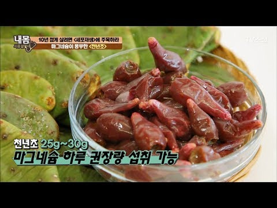마그네슘 식품의 제왕! ‘천년초’ [내 몸 사용설명서] 158회 20170623