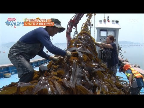 다시마 하나로 연 매출 4천만 원! [행복한 저녁] 53회 20170629