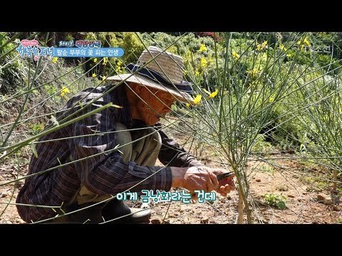 50년 동안 만든 꽃 농원! [행복한 저녁] 46회 20170620