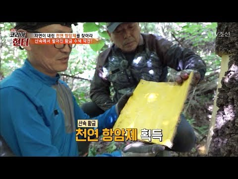 나무에서 황금을 획득하다?! [뉴 코리아 헌터] 55회 20170619