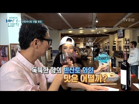 산토리니의 명물인 포도로 만든 와인 맛은?! [배낭 속에 인문학] 5회 20170620