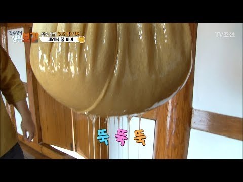 군침 도는 완숙 꿀 채밀 비법! [황수경의 생활보감] 13회 20170702