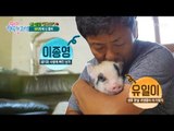 아기 돼지를 애지중지 키우는 사연은?! [행복한 저녁] 45회 20170619