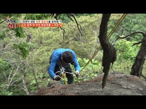 죽음을 불사한 수직 절벽 위 약초찾기 [뉴 코리아 헌터] 55회 20170619