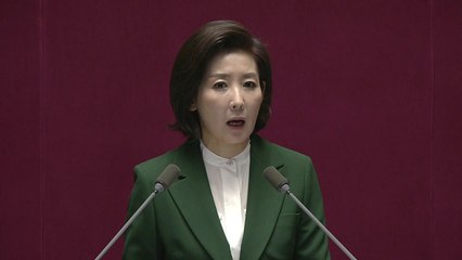 나경원 "문재인 정권의 경제정책은 위헌" / YTN