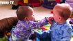 Cute Twins Baby Fighting Over ***** Funny Cute Video_2019  funny videos 0600