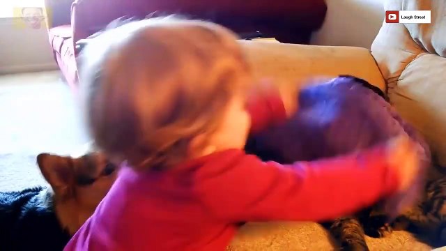 Funniest Cats Annoying Babies and Babies Annoying Cats Youtube_2019 funny videos 0600
