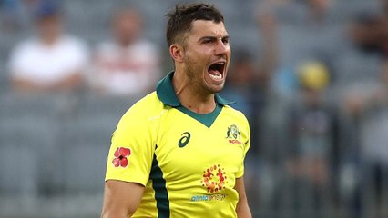 മാര്‍ക്കസ് സ്‌റ്റോയ്ണിസിനേറ്റ പരിക്ക് | Oneindia Malayalam