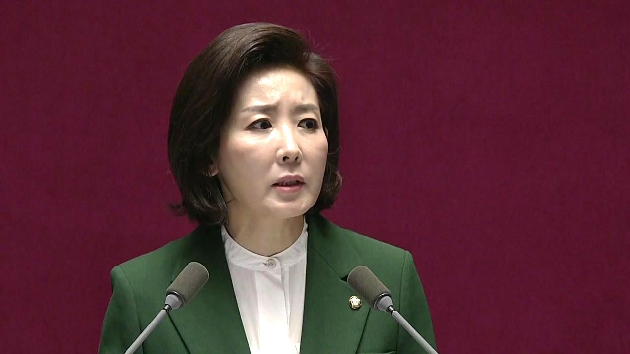 [뉴스TMI] 나경원 원내대표가 쏘아 올린 '국가원수모독죄' 논란 / YTN