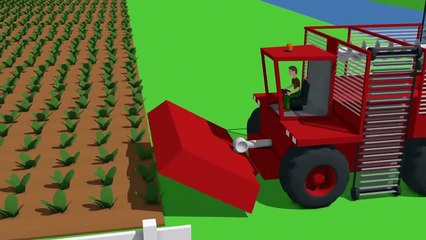Red tractor and hard work | Video for kids | Red Tractor for kids