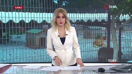 Barınağı Bastı 100 Köpek Serbest Kaldı