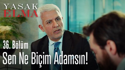 Kemal'in yaptığı büyük hata! - Yasak Elma 36. Bölüm