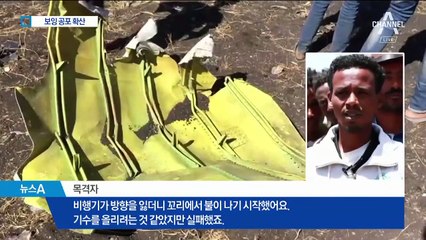 보잉737 맥스8 운항 중단 확산…美 정부만 “안전”