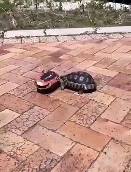 Eğer Dara Düştüğünüzde Yanınızda Olacak Böylesi Bir Dostunuz Varsa Sırtınız Yere Gelmez