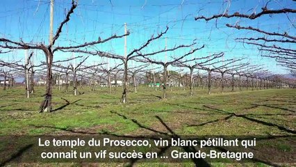 Brexit: le prosecco espère garder ses débouchés au Royaume-Uni