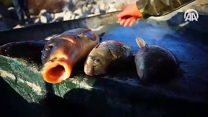 Göl sularının yükselmesi balıkçıların yüzünü güldürdü