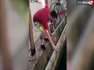 Pelikanın kendisini rahatsız eden adama tepkisi sert oldu