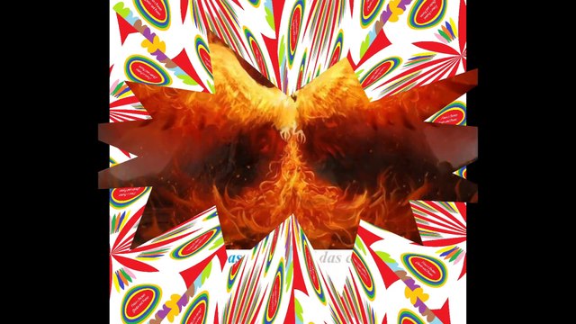 Não sou a fênix, mas renasci das cinzas! [Frases e Poemas]