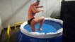 Marion Joffle se préparant dans une piscine dont l'eau est à 0 degré