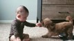 Dog Playfully Jumps Around Baby