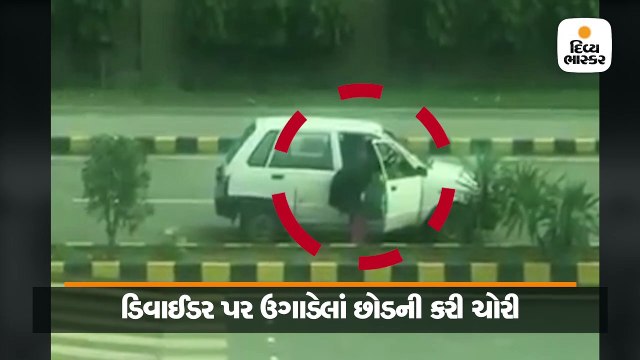 મહિલા રસ્તા વચ્ચે ગાડી રોકી, પછી આગળ પાછળ જોઈને કર્યું એવું કે થઈ જશો હેરાન
