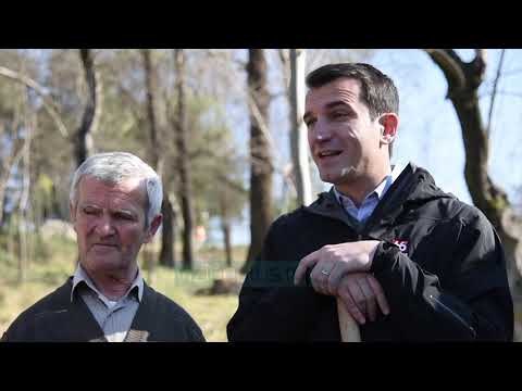Veliaj: Shfrytëzoni festat e 7-8 marsit për të mbjellë pemë - News, Lajme - Vizion Plus
