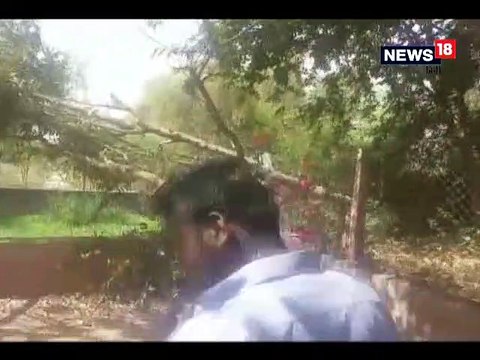 कोटा के श्रीनाथपुरम पार्क में असामाजिक तत्वों ने काट डाले 8 हरे पेड़