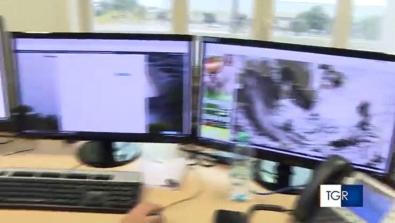 Forte vento in Puglia: a Barletta albero distrugge tombe cimitero, a Bari uomo salvo per miracolo "mi hanno salvato la vita". Danni e feriti anche in Salento e a Foggia -