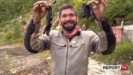 Leksion goditës për shqiptarët nga një turist i huaj...“Ne bëjmë pis, ata pastrojnë"