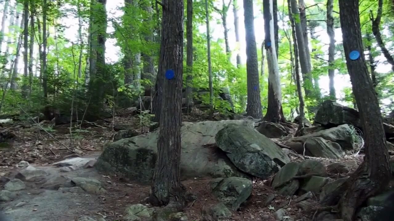 Dan With A Movie  Camera Shout-Out!