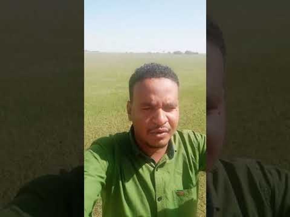 صديق عمر بلدنا كبير ملان اراضي زراعه اغاني سودانيه 2019