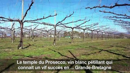 Brexit: le prosecco espère garder ses débouchés au Royaume-Uni