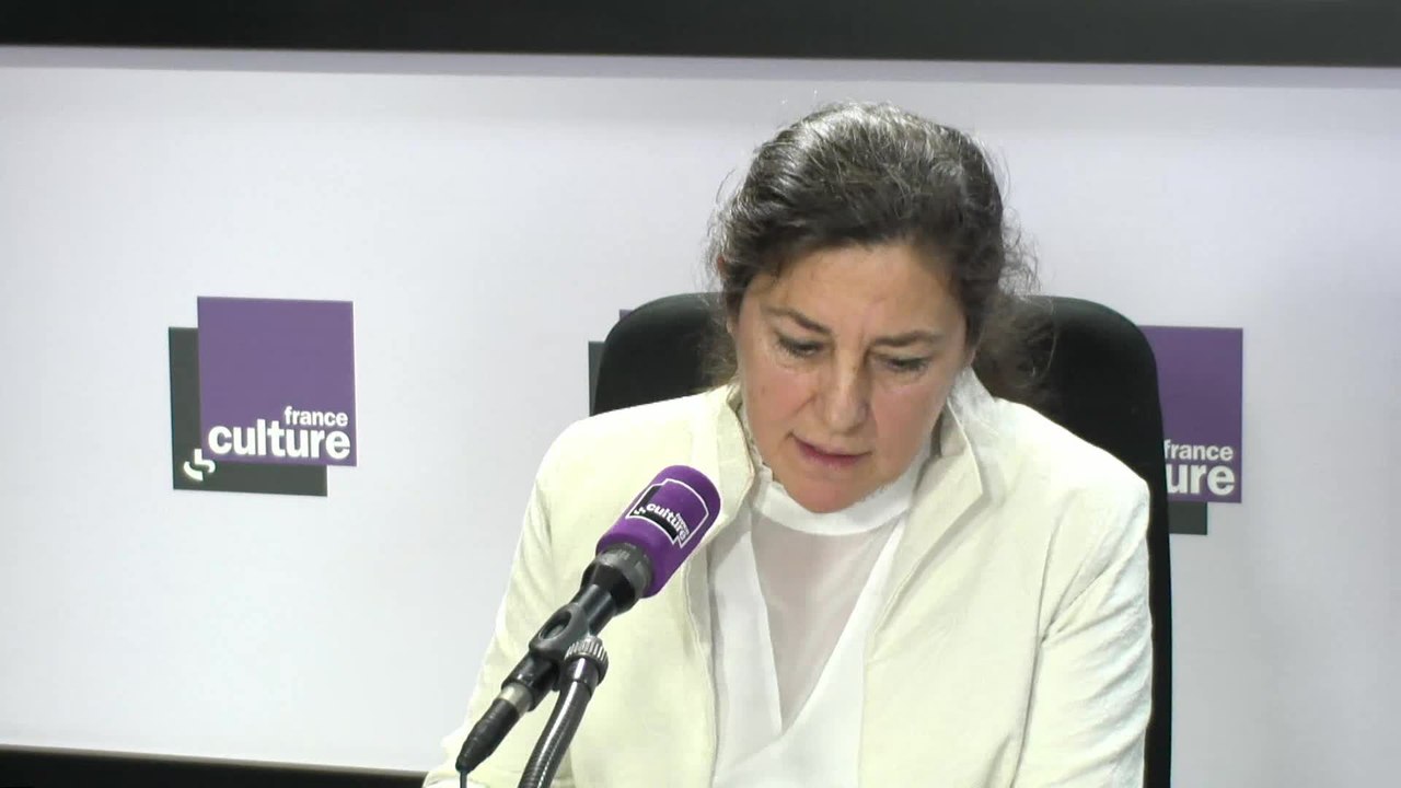 Marie-Anne Cohendet : "La crise climatique peut réaffirmer la légitimité de l’Etat, qui a le devoir d’assurer l’effectivité des droits humains"