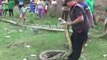 Ces indonésiens ont découvert un anaconda de plus de 8m de long