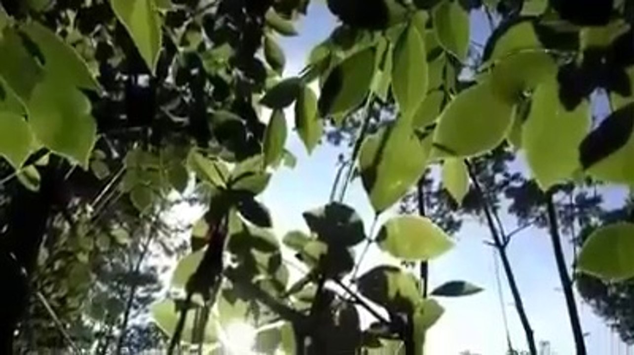 Kota_MAGELANG